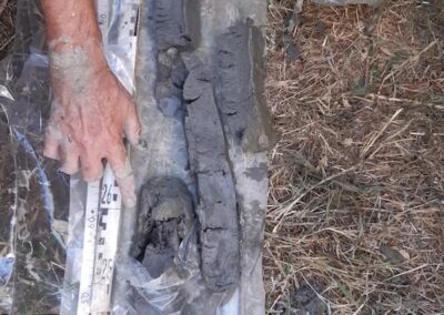 hydria aps associazione di promozione sociale e di volontariato archeologico bologna