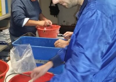 hydria aps associazione di promozione sociale e di volontariato archeologico bologna lavaggio reperti