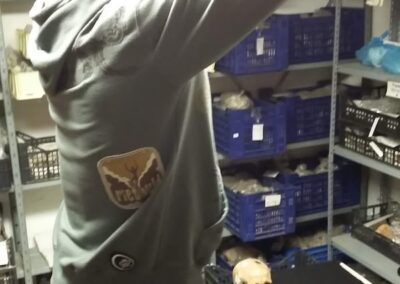 hydria aps associazione di promozione sociale e di volontariato archeologico bologna lavaggio reperti