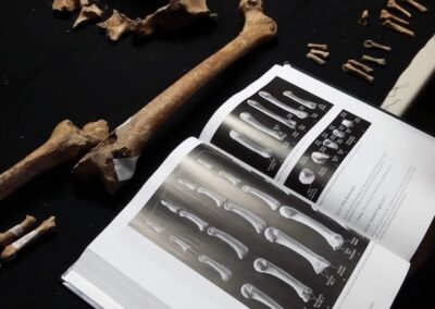 hydria aps associazione di promozione sociale e di volontariato archeologico bologna lavaggio reperti